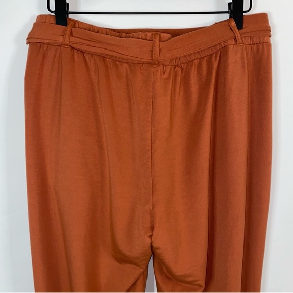 Garnet Hill Women's Easy Knit Terry Pants M Rust Belted Pleated Office Career - Picture 8 of 12